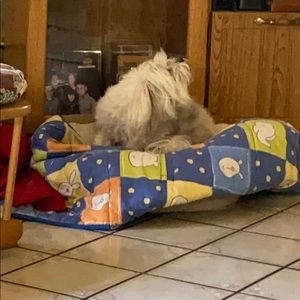 Meet your Posher, Maggie